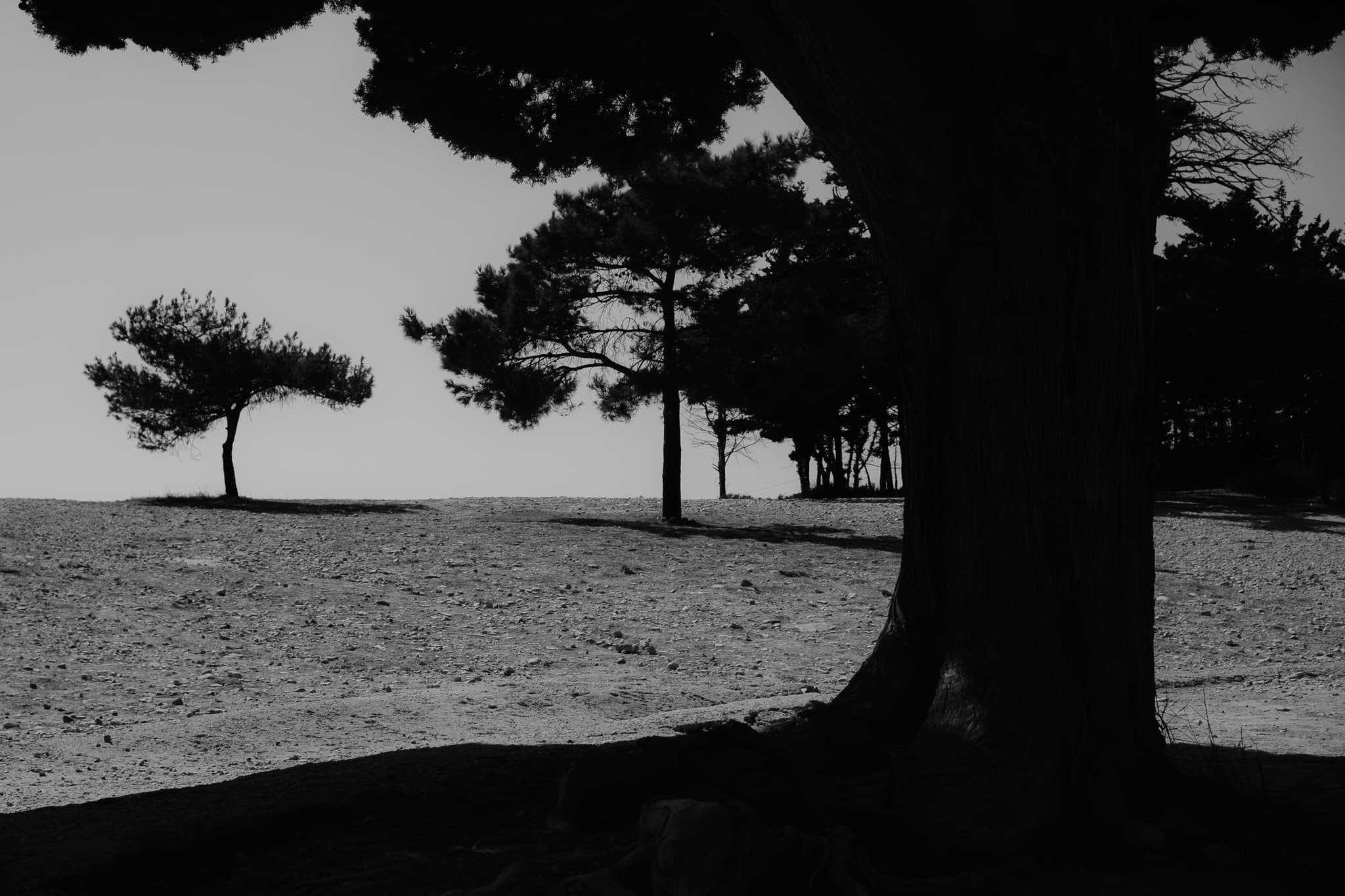 Photograph by Nick Missiaen, 2024